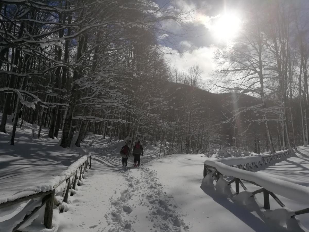 B&B Il Buon Cammino Roccamandolfi Εξωτερικό φωτογραφία